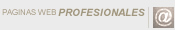Paginas Web Profesionales, Diseo y desarrollo de Paginas Web, Programacion de Bases de Datos, Diseo y publicidad en linea
